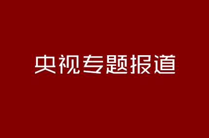 央视专题报道